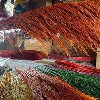 Bunga Kering Alami G196 Rumput Pampas Beige Besar untuk Dekorasi Bunga Pernikahan Rumah, Rumput Pampas Batang Besi