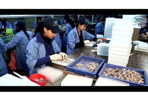 Relé de arranque Interruptor de relé de arranque de motocicleta de alto rendimiento para encendido confiable del motor y compatibilidad de arranque suave - Product Image 4