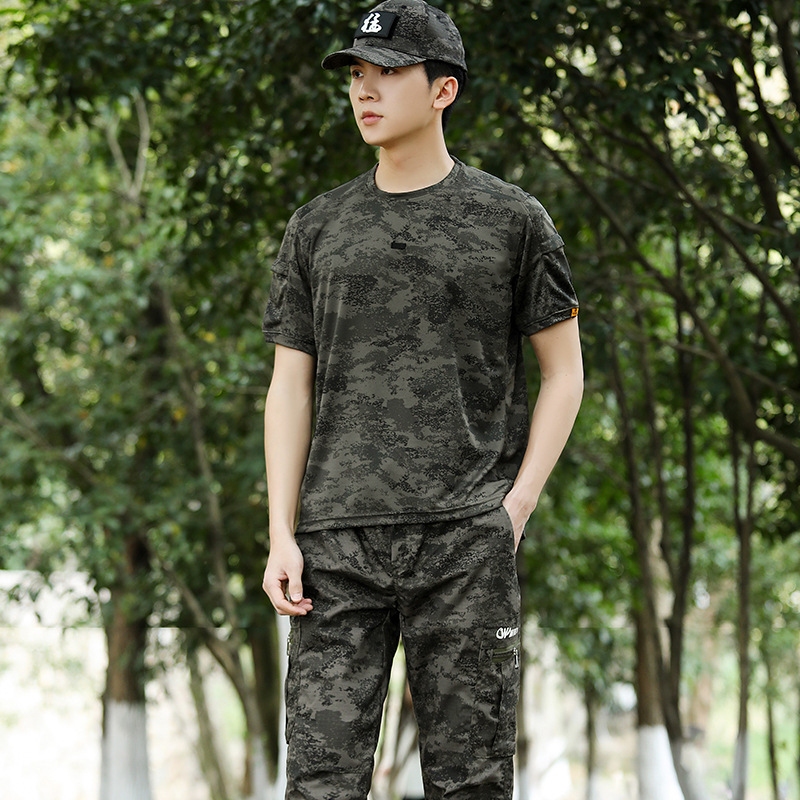 Mimetizzazione notturna