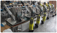 Industriële netzakverpakkingsmachine, elektrische gaaszaksealer voor knoflook, ui, aardappel, sinaasappel, groothandel.