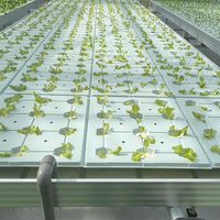 Grandes tables et plateaux hydroponiques agricoles, bancs à double couche roulants en ABS, système d'irrigation par flux et reflux