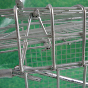 Cage de petit <span class=keywords><strong>piège</strong></span> <span class=keywords><strong>à</strong></span> animaux vivants Cage de lapin Cage de <span class=keywords><strong>raton</strong></span> <span class=keywords><strong>laveur</strong></span> de haute qualité - Product Image 4