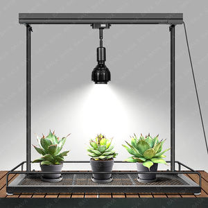 BAVAGREEN E26 Socket LED Grow Lamp Full Spectrum Sunlike 5400K High PPFD 20W COB LED Plant Lamp para <span class=keywords><strong>Agave</strong></span> Vegetales Flores - Product Image 3