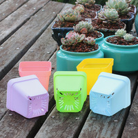 Pot bunga sukulen persegi 8.5cm, Pot bernapas warna-warni Pot bunga dan penanam
