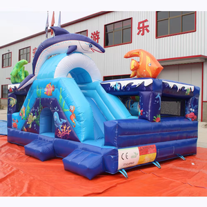 Toboggan aquatique gonflable pour les fêtes au bord de la piscine dans la cour, avec une zone de refroidissement à la base, disponible à la location pendant la saison des festivals estivaux - Product Image 1