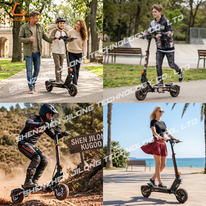 Trottinettes pliantes tout-terrain EU Pro et Pro Folding pour adultes, moteur 800W haute puissance, 48V 18Ah, trottinette électrique pliable portable - Product Image 2