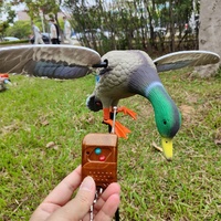 Médicaments pour la chasse au canard, jouet pour la chasse