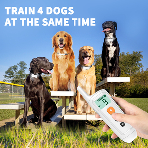 <span class=keywords><strong>Collar</strong></span> vibrador e impermeable para perros, con control remoto, recargable, descarga estática electrónica, de entrenamiento, nuevo diseño - Product Image 5