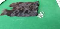 Peluca de cabello humano Natural para mujer, pelo de la India del templo del Sur, Usable, bajo precio, para los países indios