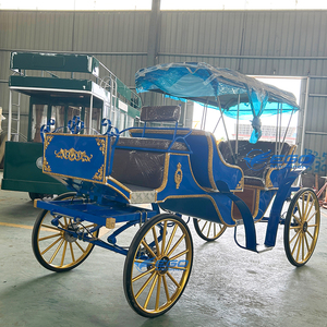 Carruaje Turístico Victoria a Precio de Fábrica, Transporte Especial para Bodas, Carruajes Eléctricos en Venta - Product Image 4