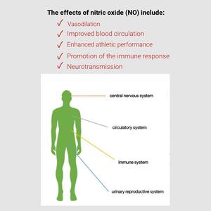 Poudre d'extrait de plantes 3 en 1 de haute qualité pour hommes Ingrédients de qualité alimentaire de marque privée 1kg quantité minimale de commande pour l'exportation - Product Image 4