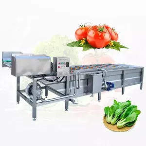 Industriële Luchtbel Fruit Groente Reinigingsmachine Verse Plantaardige Verwerkingsapparatuur