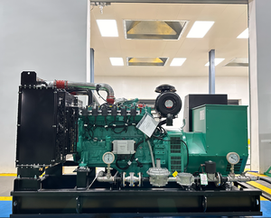 Grupo Electrógeno de Biogás de 180KW Tipo Abierto, Generador de Gas Natural de 180KW, Generador de Gas LPG de 225KVA de Potencia Primaria - Product Image 2