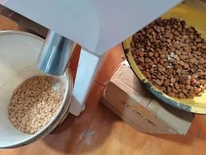 Trieuse optique industrielle IA haute vitesse (0,2-1 TPH) pour amandes, légumineuses et céréales – Ligne de tri optique pour la sécurité alimentaire - Product Image 4