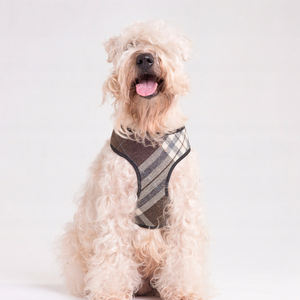 Tartan Brown XS <b>Dog</b> <b>Harness</b> No Pull Easily Adjustable Pressure Free Durable Nylon Personalized Design - Product Image 2