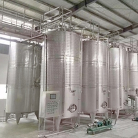 Ligne de production de vinaigre de vin de fruits de grande capacité Usine de fermentation de traitement du vin de goyave et papaye