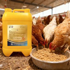 Probióticos especiales para aves de corral, aditivo para piensos, previene la <span class=keywords><strong>diarrea</strong></span>, mejora el rendimiento productivo para pollos, patos y gansos. - Product Image 4