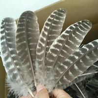 Teint naturel plume accessoire de cheveux plume de dinde pour artisanat bricolage coiffure chapeau Costume carnaval fête mariage maison décor floral