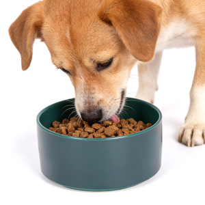 Wholesale Custom Logo Ceramic Cat <strong>Dog</strong> Pet <strong>Bowls</strong> - Product Image 2