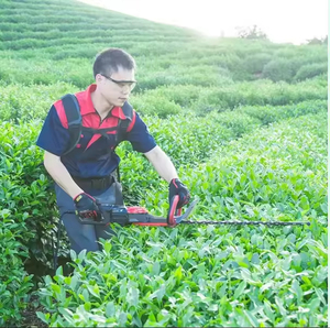 <span class=keywords><strong>Cortasetos</strong></span> Eléctrico N+PLUS de Alta Resistencia con Construcción Duradera para Arbustos Gruesos y Cuchillas Afiladas y Densas - Product Image 6