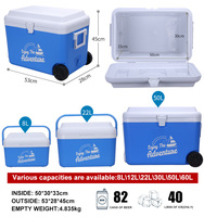 Glacière Extérieure Personnalisée OEM ODM, 12L 22L 30L 50L, En Plastique Portable Pour Pique-nique, Camping et Crème Glacée – Fabriquée en Thaïlande
