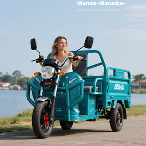 מטען חשמלי הסיטונאי תלת אופן שימוש בחווה מרחוק - Product Image 5