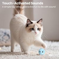 Chats Chatons Exercice Animaux Son Chats Interactif Kicker Cataire Balle Jouet avec Moelleux
