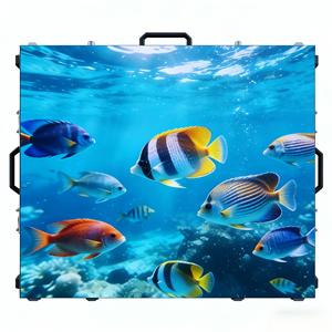 Mur LED pour événements extérieurs, taille d'écran personnalisable, garantie de 5 ans, gestion du contenu à distance pour l'affichage des spectacles - Product Image 2