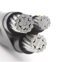 Venta al por mayor ABC Cable Conductor de aluminio XLPE PE LDPE PVC aislado Cable de caída superior Cobre Duplex Triplex Servicio Quadruplex