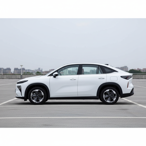 2026 per Boyue REV SUV 160kW 327Nm Batteria 50.4kWh Prestazioni in Altitudine Sospensioni FSD Esportazione su Strade di Montagna - Product Image 3