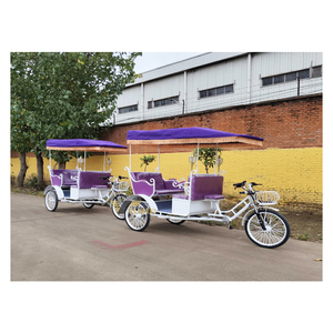 Vente directe d'usine, nouveau tricycle à 3 roues pas cher pour adultes, prix de gros le moins cher/tricycle électrique à batterie haute efficacité - Product Image 5