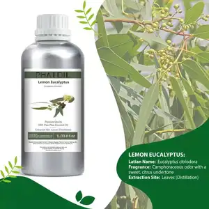 HAIRUI Fornecimento de óleo de eucalipto a granel para óleo essencial de eucalipto de grau de aromaterapia