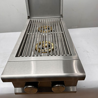 Barbecue à gaz d'extérieur en acier inoxydable avec double brûleur latéral, alimentation GPL 24 000 BTU, allumage piézoélectrique