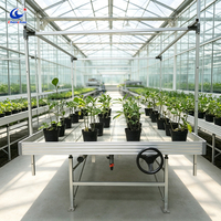 Table de culture hydroponique ChenChao avec cadre robuste et système d'irrigation par flux et reflux pour l'agriculture en serre à grande échelle
