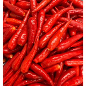 พริกแดงสดและแช่แข็งเครื่องเทศทางการเกษตรสมุนไพรสินค้าขายส่งจากเวียดนาม - Product Image 3