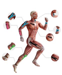 Bande élastique de kinésiologie pour soutien du genou - 5 m de longueur, 5 cm de largeur, bandes adhésives médicales auto-adhésives pour le sport - Product Image 4