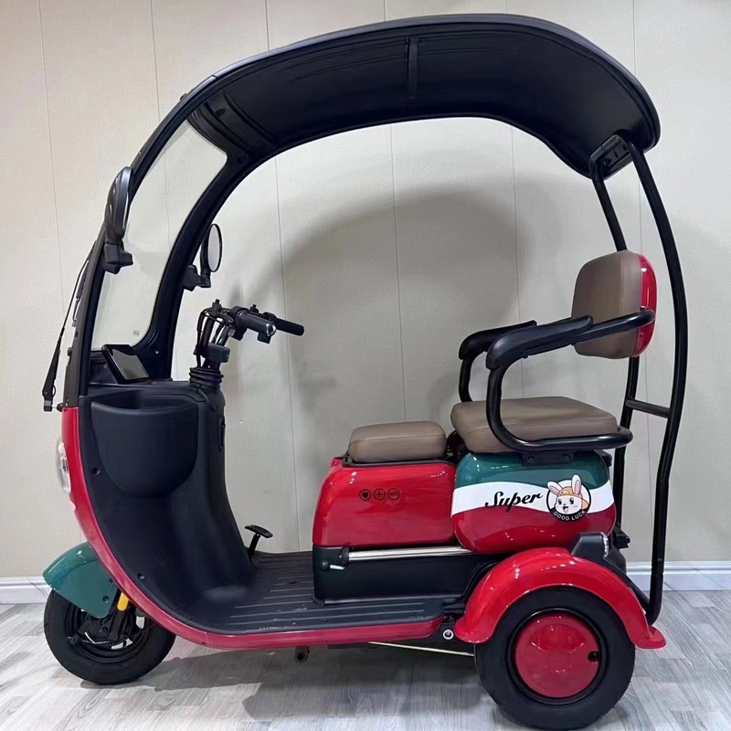 1000W Electric Tricycles Household Small Scooter