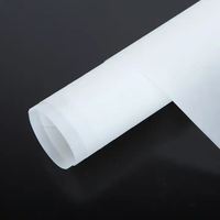 Film Diffuseur en Polycarbonate Rina-Tech 0,1 mm, Feuille de Laminage Holographique, Plaque de Coulée en Plastique Transparent A4 pour Écran LED