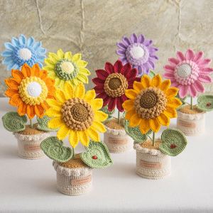 Macetas Tejidas a Mano Personalizables y Listas para Enviar, Macetas de Flores de Ganchillo Hechas a Mano, Tulipanes, Girasoles, Rosas para Regalo - Product Image 1