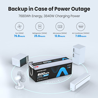 Batería de LiFePO4 de 12V 600Ah con BMS Inteligente de 300A y Bluetooth, Batería de 12.8V 300Ah para Autocaravana, Furgoneta Camper, Almacenamiento de Energía, Fuera de la Red