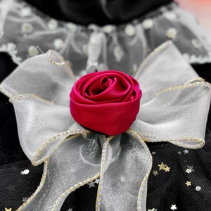 בגדי חיות מחמד 2026, בגדי כלבים, שמלת נסיכה מפוארת לחתונה, שמלת קטיפה שחורה עם ורדים לכלבים, סיטונאי - Product Image 3