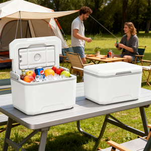 Glacière isotherme portable de 5 L, idéale pour le camping, les pique-niques et la conservation des aliments en voyage - Product Image 4