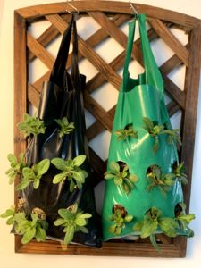 Sacs de culture verticaux pour fraises en plastique PE, 10 trous, pochettes de plantation pour herbes, fleurs, légumes, décoration de balcon et de jardin - Product Image 5