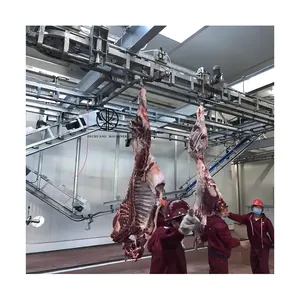 Simple Operation Bull Slaughtering Equipment Carcass Offal Hang Conveyor Line Use Halal Donkey Abattoir Machinery