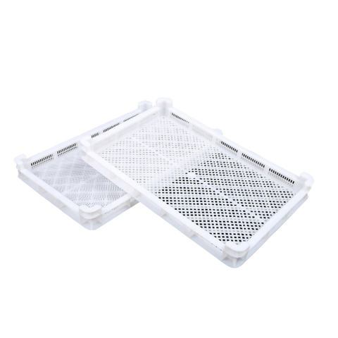 Hot Sale Large Size Recyclable Dry Fruit Rack Tray Factory-supplied Mesh Style Plastic Crate