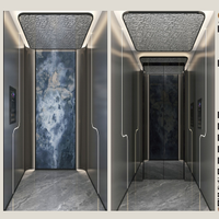 Lift Rumah Modern yang Dapat Disesuaikan untuk Vila, Sistem Penggerak Traksi Baja Tahan Karat. Tersedia Berbagai Warna Kapasitas 400kg untuk 2-3 orang