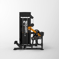 Appareil commercial multifonctionnel à double fonction pour abdominaux et extensions lombaires, idéal pour un renforcement complet du tronc
