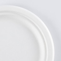 Boîte à lunch jetable biodégradable de canne à sucre et de bagasse de 10 pouces maintenant disponible pour le marché des EAU