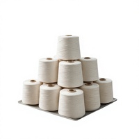 Fil à coudre 100% polyester filé 40/2 blanc brut / Fil à coudre Hilos De Coser Échantillon gratuit TKT120 40s/2 50/2 pour la couture de vêtements à grande vitesse