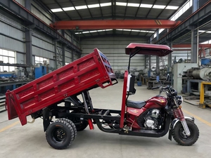 Heavy Duty 300CC Hydraulic Dumping Tricycle 2 Ton Loading Gasoline for Africa Farm Transport - Product Image 2